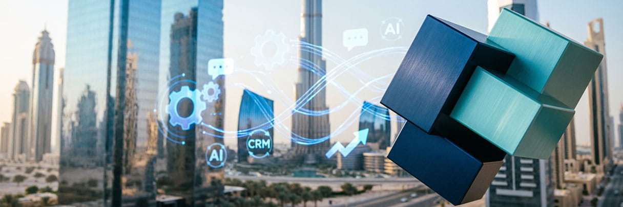 AI Solutions for Business Growth in Dubai
